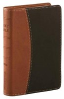 NIV Pocket Bible (Leather Binding)