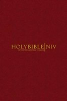 NIV Popular Bible Burgundy (Hard Cover)