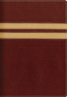 NIV Compact Thinline Bible Burgundy/Cream (Hard Cover)