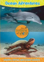 Ocean Adventures, Volume 1 (DVD)