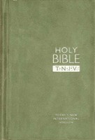 TNIV Personal Bible Suedel/Sage (Hard Cover)