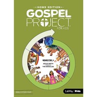 Gospel Project Home Edition: Bible Story DVD, Semester 4 (DVD)