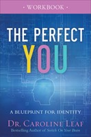 The Perfect You Workbook (Paperback)