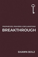 Breakthrough (Paperback)