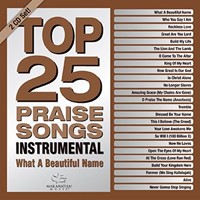 Top 25 Praise Songs Instrumental CD (CD-Audio)