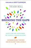 Bridging the Gap (Paperback)