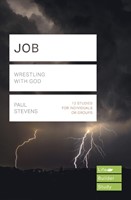 LifeBuilder: Job (Paperback)