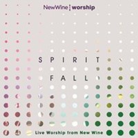 Spirit Fall Worship CD (CD-Audio)