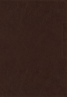 NKJV Lucado Encouraging Word Bible, Brown, Indexed (Imitation Leather)