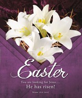 You are Looking for Jesus Easter Bulletin Lgl (pack of 100) (Bulletin)