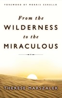 From The Wilderness To The Miraculous (Paperback)