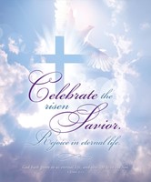 Celebrate the Risen Savior Easter Bulletin Lgl (pack of 100) (Bulletin)