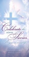 Celebrate the Risen Savior Easter Offering Envelope (100) (Bulletin)