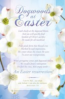 Dogswood at Easter Bulletin (pack of 100) (Bulletin)