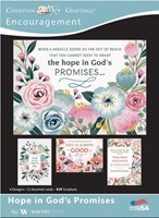 Boxed Cards - Words of Hope Encouragement (pack of 12) (Cards)