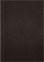 ESV Single Column Journaling Bible, Large Print (Genuine Leather)