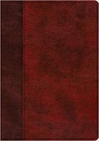 ESV Study Bible (TruTone, Burgundy/Red, Timeless Design (Imitation Leather)