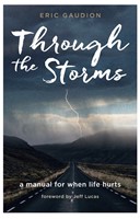Through the Storms (Paperback)