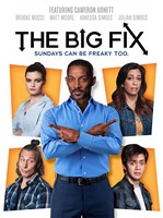 The Big Fix DVD (DVD)