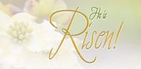Risen Easter Dogwood Offering Envelope (Pkg of 50) (Bulletin)