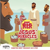 Jesus' Miracles (Board Book)