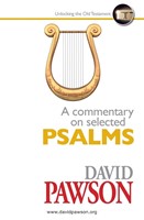 Commentary on Selected Psalms, A (Paperback)