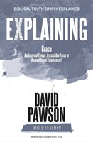 Explaining Grace (Paperback)