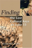 Finding the Lost (Paperback)
