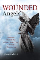 Wounded Angels (Paperback)