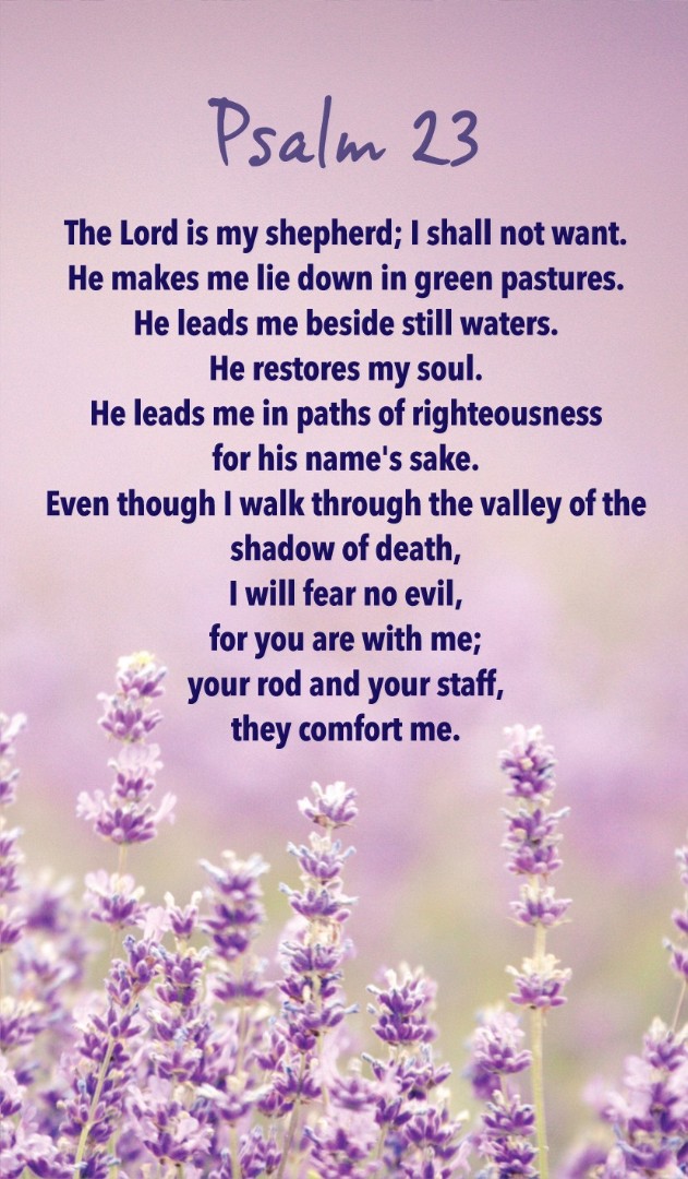 Prayer Card (pack of 20) Psalm 23 (656172010073) Vineyard Worship Shop