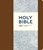 NIV Journalling Bible with Clasp, Brown