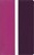 Amplified Bible IL Pink/Purple Indexed