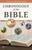 Chronology of the Bible (Individual pamphlet)