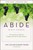 Abide Course Study Guide plus Streaming Video