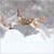 Christmas Cards: Squirrels In Snow (Pack of 4)