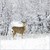 Christmas Cards: Deer In Snowy Wood (Pack of 4)