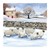 Winter Woolies Christmas Cards (pack of 10)