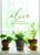 Alive Bible Study Book