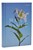 NRSV Catholic Edition Bible, Easter Lily Hardcover