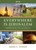 Everywhere Is Jerusalem - DVD