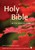 NRSV Popular Text Bible With Apocrypha (Pack Of 20)
