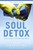 Soul Detox Participant's Guide