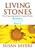 Living Stones Boulders (11-14s)