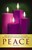 Peace Advent Candles Sunday 4 Bulletin (Pkg of 50)