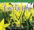 Easter Joy 3CD Gift Collection