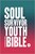 NIV Soul Survivor Youth Bible Hardback (10 Copy Pack)