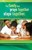 Family That Prays Together Bulletin (Pack of 10)