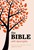 NRSV Popular Bible + Apoc H/B