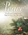 Peace Image Advent Bulletin, Large (Pkg of 50)