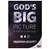 God's Big Picture DVD